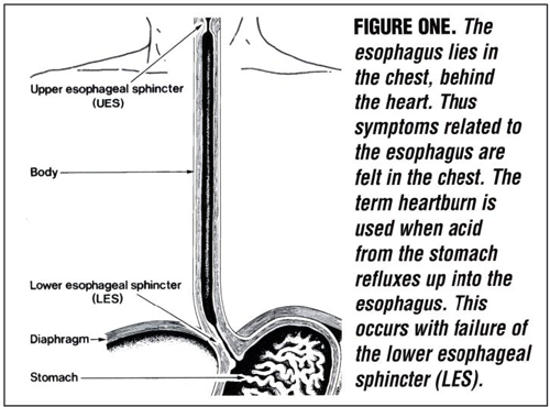 Heartburn: Nothing to do with the Heart HeartburnNotHeart